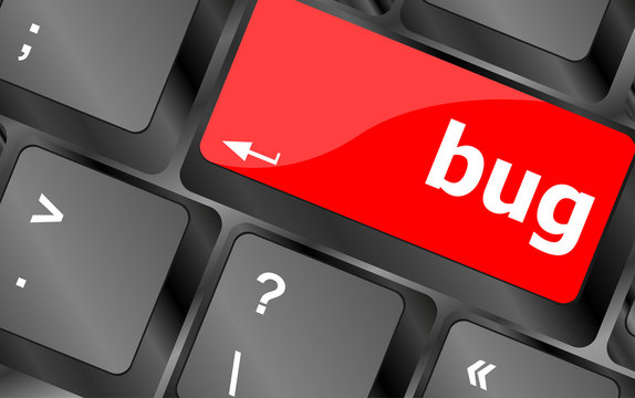 Computer keyboard with bug key. business concept