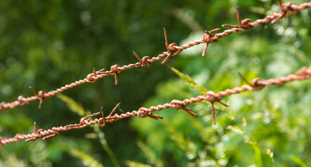 Stacheldraht