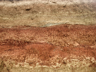 древние почвы