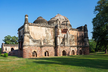 Fototapeta premium Lodi Gardens