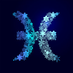 Winter decorations. Symbols of snowflakes. Signs of the zodiac