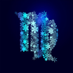 Winter decorations. Symbols of snowflakes. Signs of the zodiac