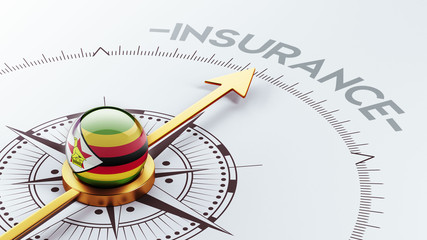 Zimbabwe Insurance Concept