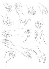 hands