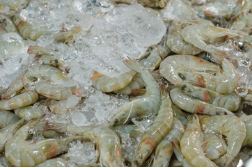 Fresh shrimps