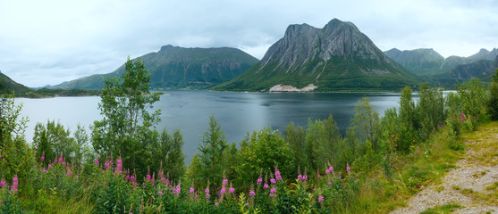 Fjord summer cloudy panorama (Norway) © wildman