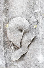 Snail carved in stone