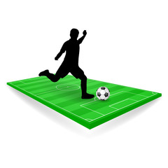 fussballfeld mit spieler publikum brasilien IV