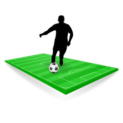 fussballfeld mit spieler publikum brasilien VI