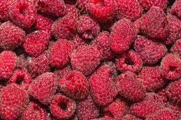 raspberry background