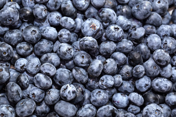blueberry background