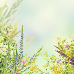 Natural floral background