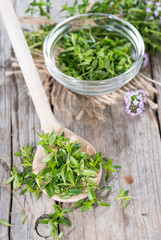Fresh Winter Savory on a wooden spoon