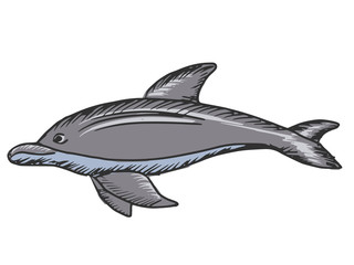 Obraz premium dolphin