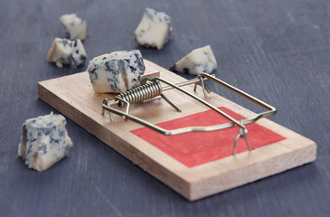 Mousetrap with cheese on wooden background