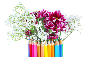 Beautiful flowers in colorful pencils vase isolated on white