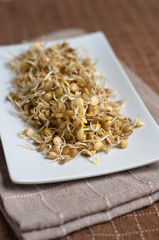 germogli di lenticchie