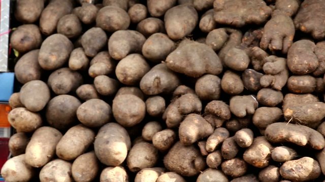 Chinese yam