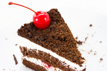Chocolate cake slice isolated on the plate