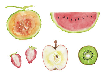 いろいろな果物の断面