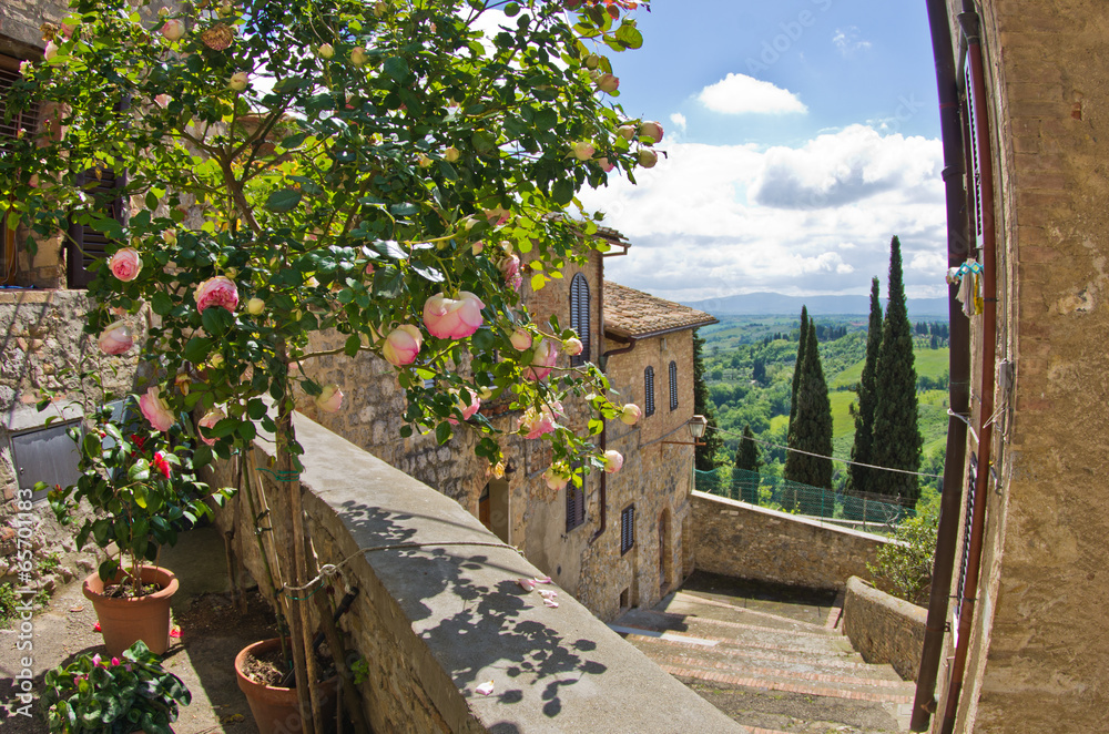 Wall mural Roses on balcony, cityscape of San Gimignano, Tuscany landscape