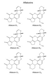 Structural chemical formulas of aflatoxins