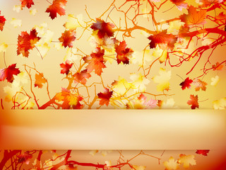 Naklejka na ściany i meble Autumn with leaves Back to school. EPS 10