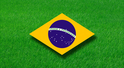 Brazilienflagge im Gras © peterschreiber.media
