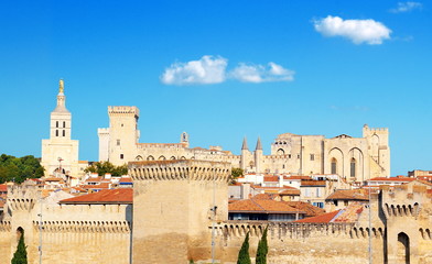 Fototapeta premium Palais des papes et remparts à Avignon