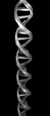 Raytracing rendering of a DNA double helix with metal appearance