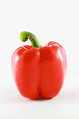 Red pepper on white background