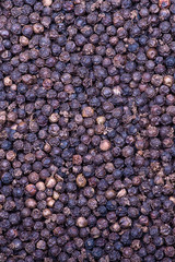 Black pepper as whole background