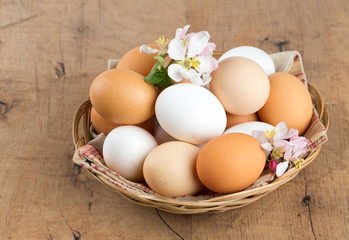 beautiful farm eggs and apple blossoms on wooden surface