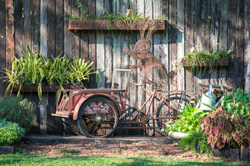Vertical garden with wood wall background
