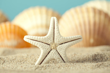 Fototapeta na wymiar Starfish and seashell on beach