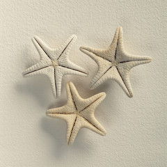 Starfish on handmade paper background