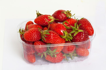 Fraises Gariguettes  en barquette plastique sur fond blanc