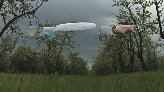 Nature Living Concept Clothes Line In Forest Overcast Wind