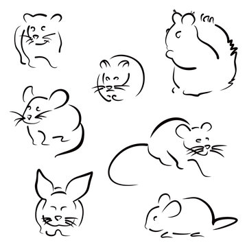 Set of rodents