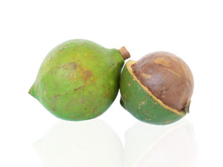 macadamia nuts on white background