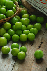 green plum erik