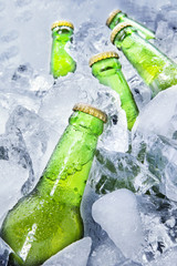 Fresh beer bottles on ice