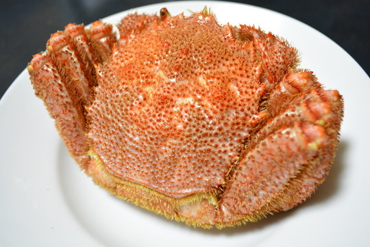 毛蟹