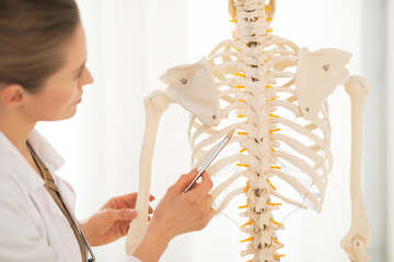 Closeup on doctor woman pointing on spine of human skeleton