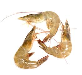 Raw shrimp