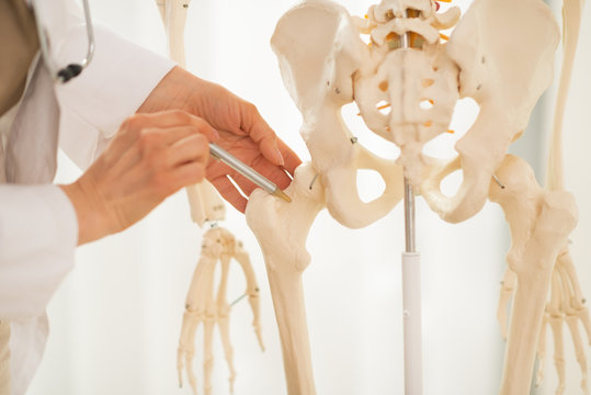 Closeup on doctor woman pointing on femur of human skeleton