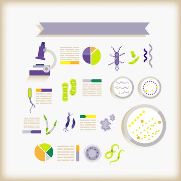 info-graphics of science/bacteria