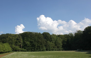 Forest and sports field with cloudscapes on clear sky