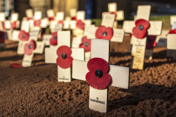 Remembrance Day Crosses © allouphoto