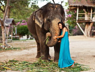 Young pretty woman with elephant in Thailand